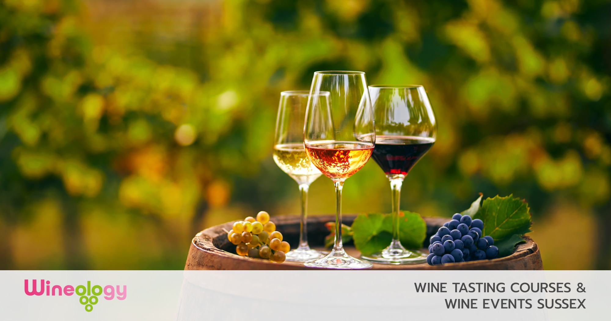 Wine Tasting Events Sussex Group Wine Tasting