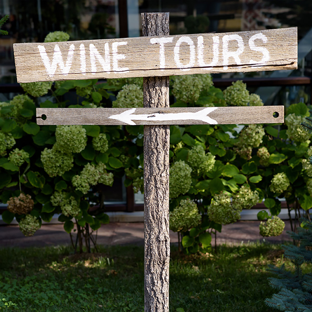 Wine Tourism Company Sussex