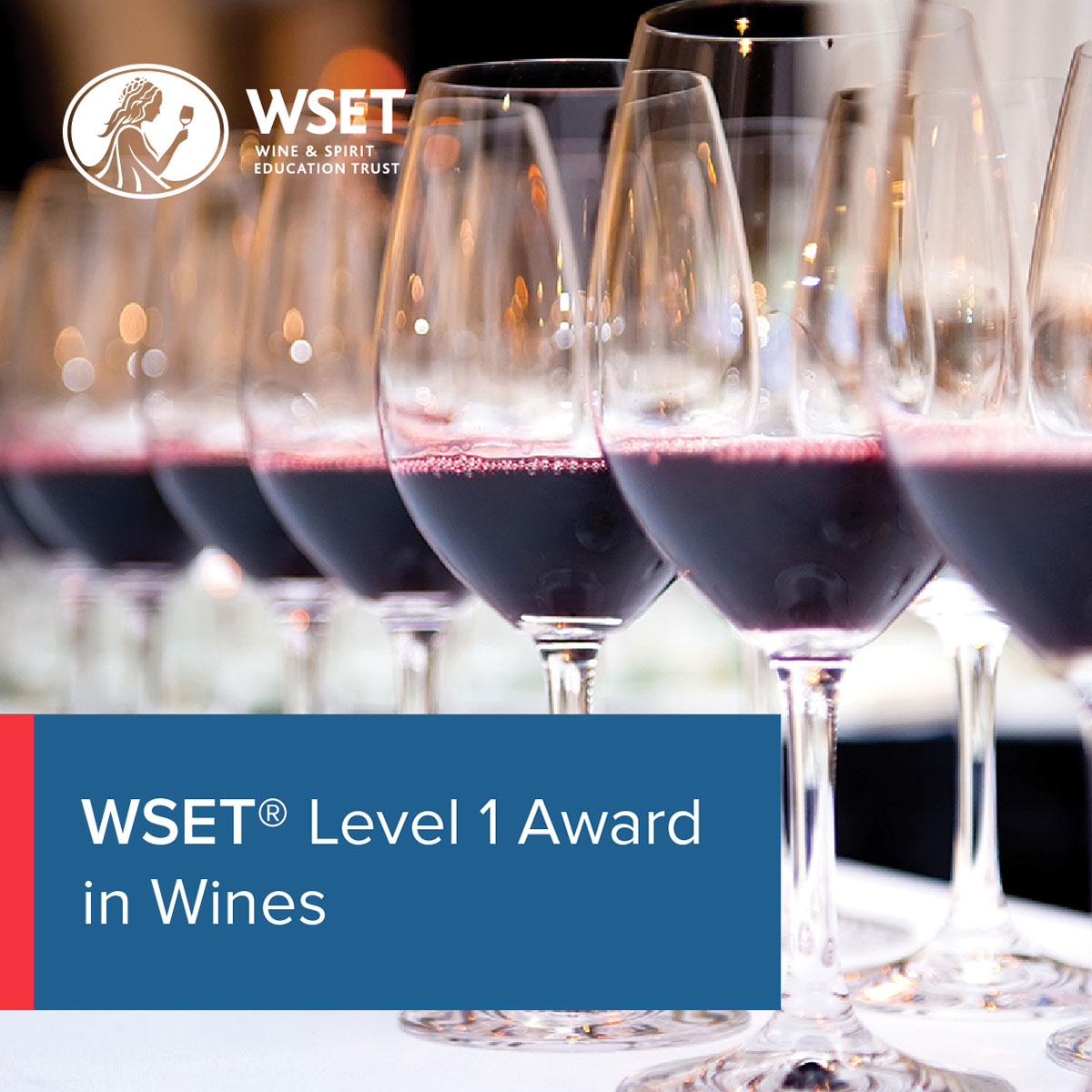 WSET Level 1